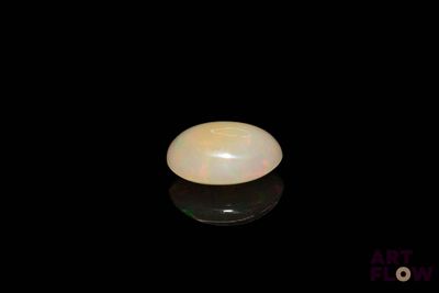 an oval white oplite on a black surface with a black background