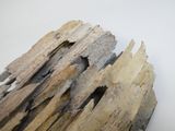 un morceau de bois coupé en deux