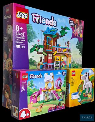 une boîte de Lego Friends et une boîte de Lego Friends