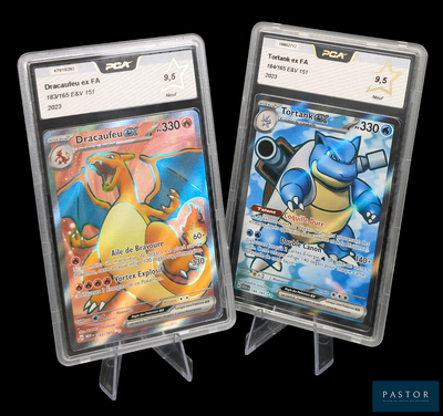 deux cartes Pokémon exposées sur un fond noir