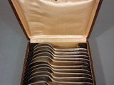 six spoons in a case on a table