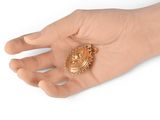 a hand that has a ring on it that has a picture of a woman ' s face on it