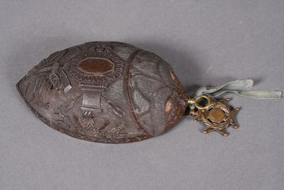 a tortoise with a gold bug on the back of it