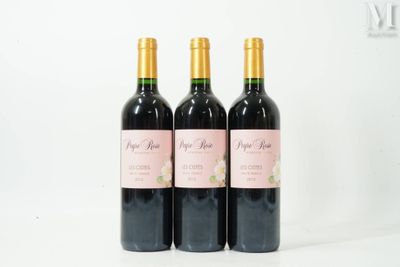 trois bouteilles de vin posées sur une table blanche