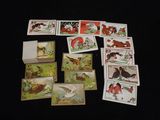 beaucoup de cartes représentant des animaux, posées sur une table