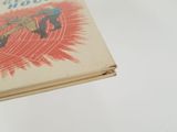 a book that has a picture of a plane on it