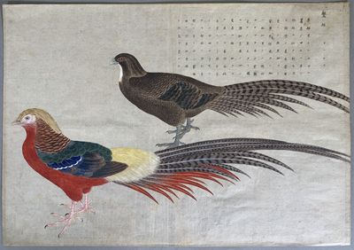 peinture représentant deux faisans sur un fond beige, avec des caractères chinois