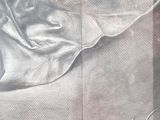 a picture of a painting of a woman laying on a bed