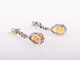 a pair of earrings with citrine stones on a white background