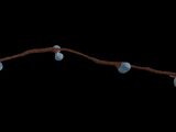 a branch with blue berries on it on a black background