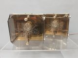 deux boîtes en verre dans lesquelles se trouve l'image d'un arbre