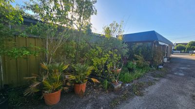 beaucoup de plantes en pot devant une clôture