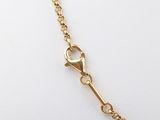 a close up of a gold chain with a key on it