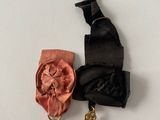 two medals and a ribbon hanging on a wall