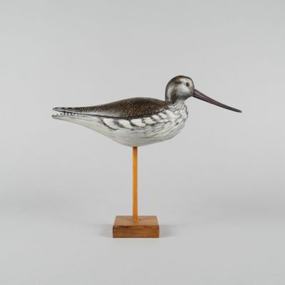 un oiseau au long bec posé sur un socle en bois