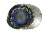 a close up of a hat with a blue eye on it