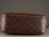 an image of a brown louis vuitton bag