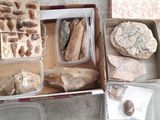 a box full of food that is sitting on the floor