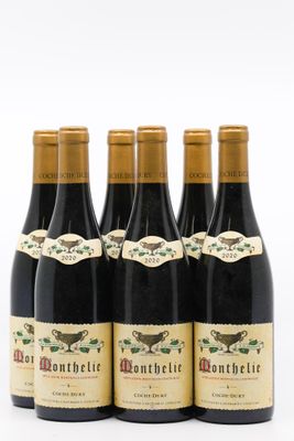 six bouteilles de vin sont alignées sur une surface blanche