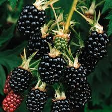 Destockage & Invendus