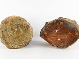 two large rocks sitting next to each other on top of a white surface