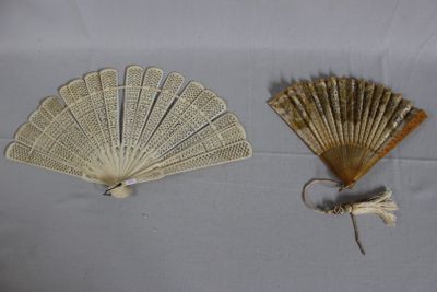deux objets en forme d'éventail sur une surface blanche
