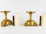 pair of antique brass candlesticks with turtle heads on them