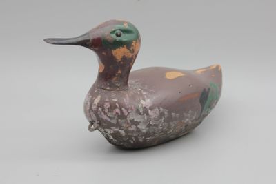 un petit oiseau perché sur une table