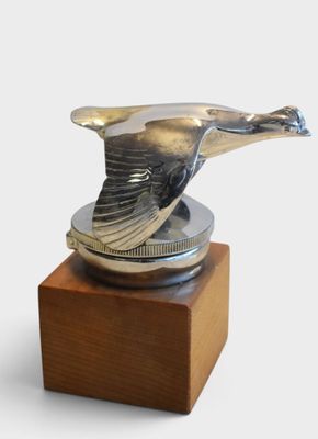 a bird that is sitting on top of a wooden block