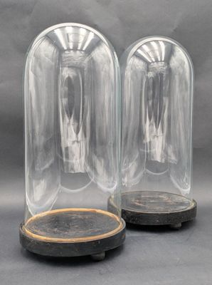 paire de cloches en verre transparent avec socle en bois sur fond gris