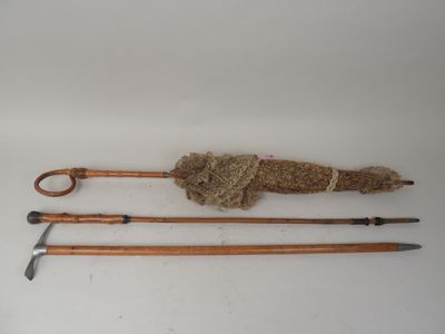 three different types of walking sticks and a stuffed animal on a white surface