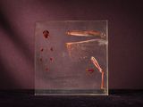 a glass box with a picture of a bird inside of it