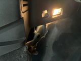 a close up of the inside of a car ' s dash light