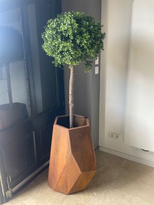 un arbre en pot dans une jardinière en bois posée au sol