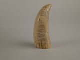 an elephant tooth that is sitting on a table
