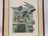 a picture of a group of birds sitting on a wooden post