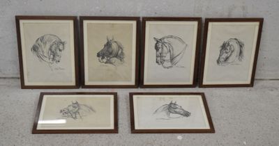 quatre dessins encadrés représentant des chevaux, accrochés au mur d'une pièce