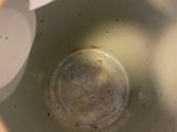 a close up view of a cup with a spoon in it