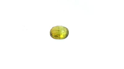 TOURMALINE verte sur papier, taille ovale à facettes.
