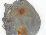 a rusted metal object on a white surface