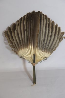 an image of a feather fan on a white background