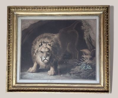 framed painting of a lion in a cave with a cat nearby
