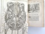 un vieux livre dans lequel figure le dessin d'une tête humaine