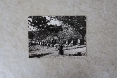 une photo en noir et blanc d'un cimetière dans les bois
