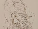 dessin représentant une femme assise sur le dos d'un homme, sur une chaise