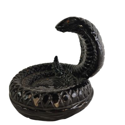 a black snake that is sitting on top of a bowl