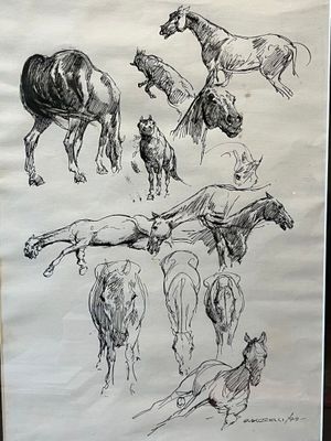 sketches of horses and a dog in a pen on a piece of paper
