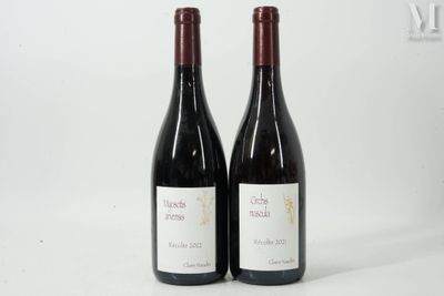 deux bouteilles de vin rouge posées l'une à côté de l'autre sur une surface blanche