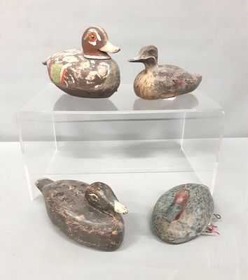 trois canards posés sur une étagère transparente
