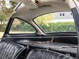 a dog that is sitting in the back seat of a car